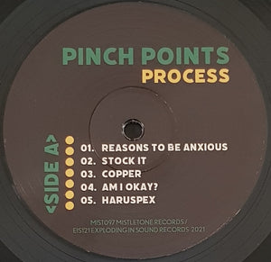 Pinch Points - Process