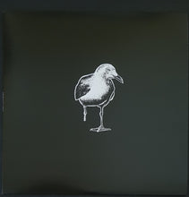 Load image into Gallery viewer, Stiff Richards - Stiff Richards - Psychedelic Bird Shit Vinyl