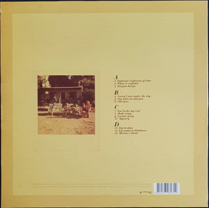 Pond - Beard, Wives, Denim