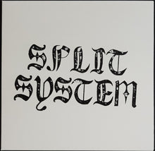 Load image into Gallery viewer, Split System - Bullet - Recycled Salmon Vinyl