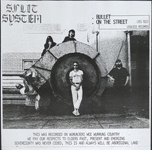 Load image into Gallery viewer, Split System - Bullet - Recycled Salmon Vinyl