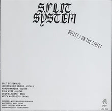 Load image into Gallery viewer, Split System - Bullet - Recycled Salmon Vinyl