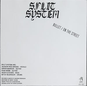 Split System - Bullet - Recycled Salmon Vinyl