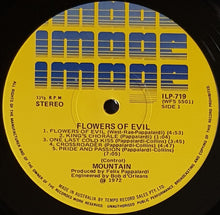 Load image into Gallery viewer, Mountain - Flowers Of Evil