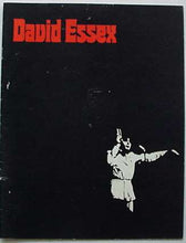 Load image into Gallery viewer, David Essex - 1976