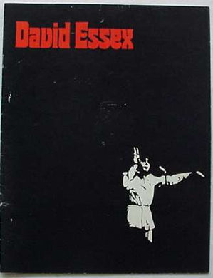 David Essex - 1976