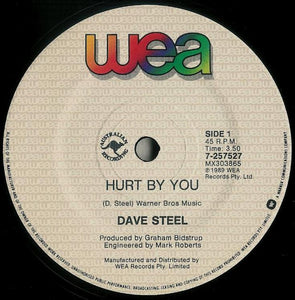 Weddings, Parties, Anything (Dave Steel) - Hurt By You