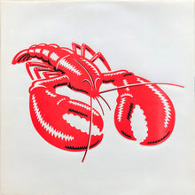 Load image into Gallery viewer, Undertones  - Hypnotised
