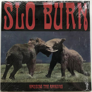 Slo Burn - Amusing The Amazing