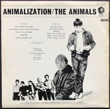 Load image into Gallery viewer, Animals - Animalization