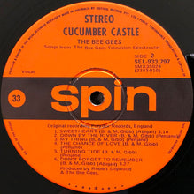 Load image into Gallery viewer, Bee Gees - Cucumber Castle