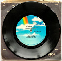 Load image into Gallery viewer, Steely Dan - Hey Nineteen