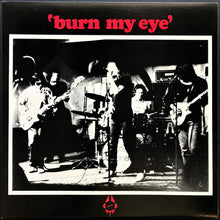 Load image into Gallery viewer, Radio Birdman - Under The Ashes