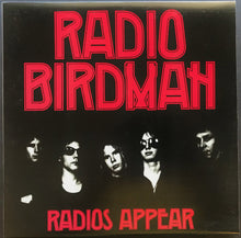 Load image into Gallery viewer, Radio Birdman - Under The Ashes