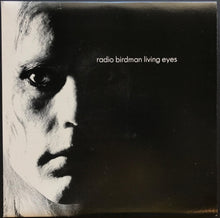 Load image into Gallery viewer, Radio Birdman - Under The Ashes