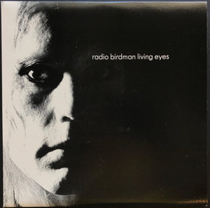 Radio Birdman - Under The Ashes