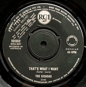 Cicadas - That's What I Want / Hey Wha' D'Ya Say