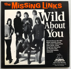 Missing Links - Wild About You