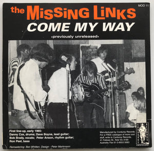 Missing Links - Wild About You