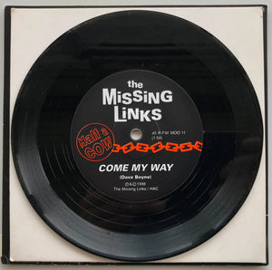 Missing Links - Wild About You