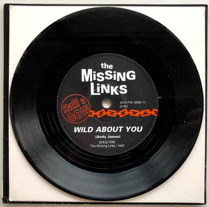 Missing Links - Wild About You