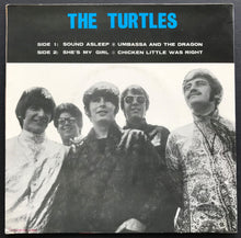 Load image into Gallery viewer, Turtles - The Turtles