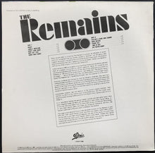 Load image into Gallery viewer, Remains - The Remains
