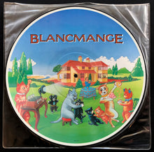 Load image into Gallery viewer, Blancmange - Happy Families