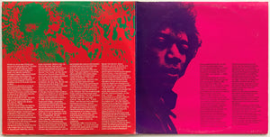 Jimi Hendrix - Star Portrait
