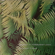 Load image into Gallery viewer, Edgar Froese - Epsilon In Malaysian Pale