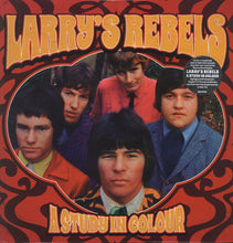 Load image into Gallery viewer, Larry&#39;s Rebels - A Study In Colour