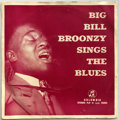 Big Bill Broonzy - Big Bill Broonzy Sings The Blues