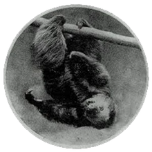 Load image into Gallery viewer, Stewart, Wynn - Set of 6 Black &amp; White Photos