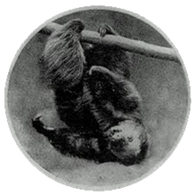 Load image into Gallery viewer, Fu Manchu - Signs Of Infinite Power