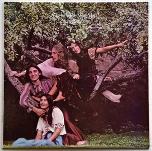 Incredible String Band - Changing Horses