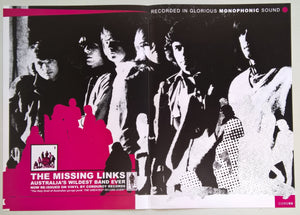 Missing Links - The Missing Links