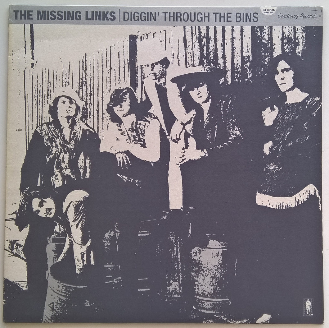 Missing Links - Diggin' Through The Bins