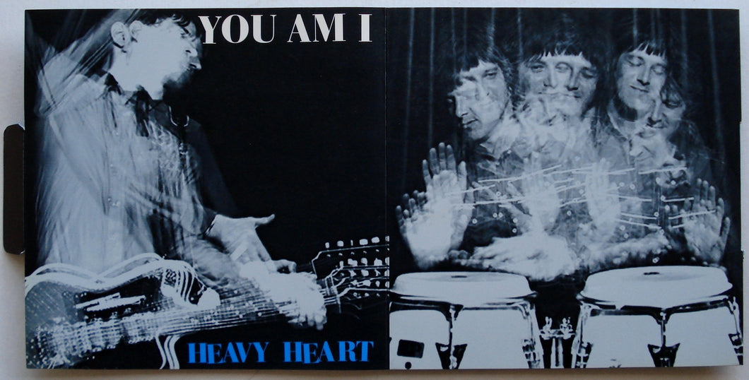 You Am I - Heavy Heart
